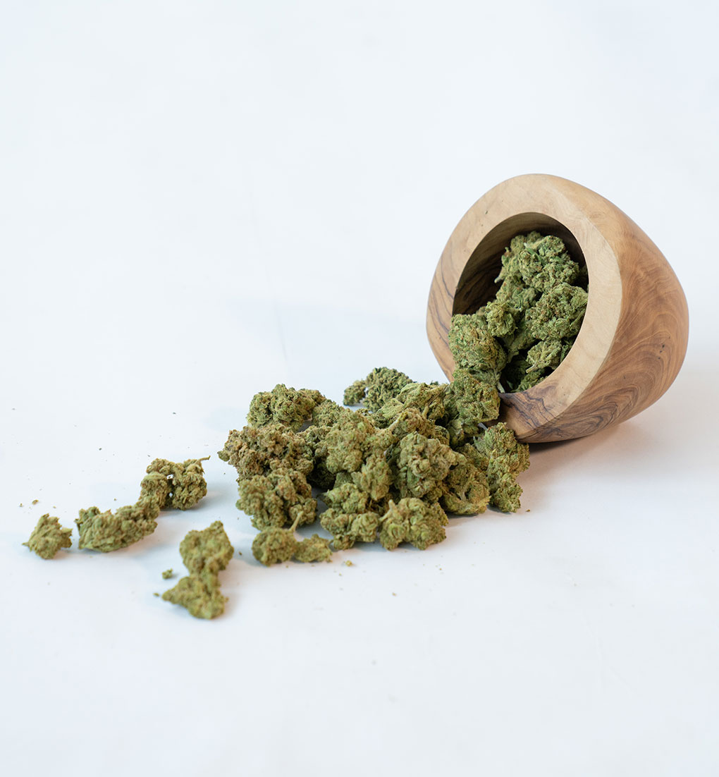 Cannabis-Anbau zu Hause