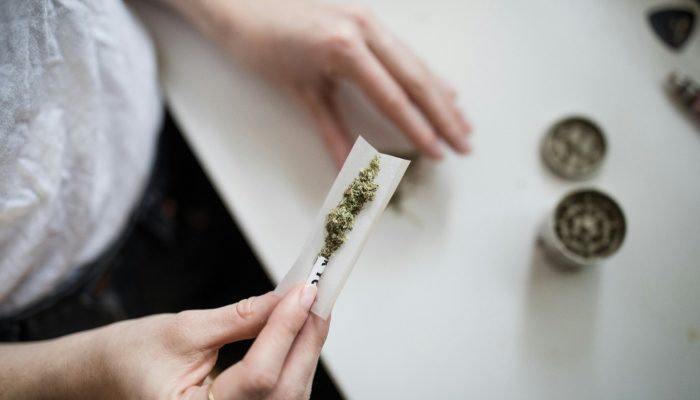 Cannabis Anbau zu Hause